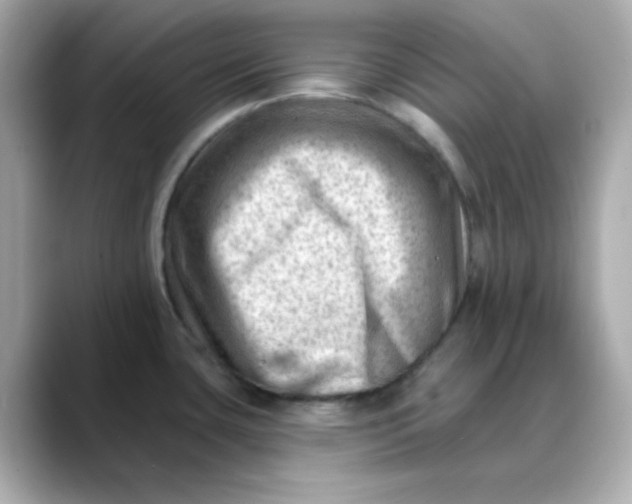 X0000088451435200706051258