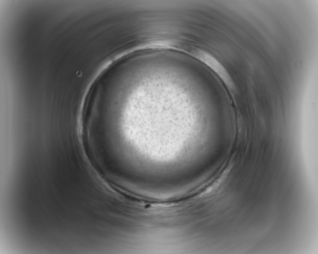 X0000088451436200706051258