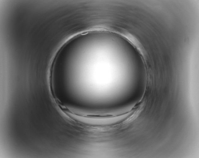 X0000088451438200706051258