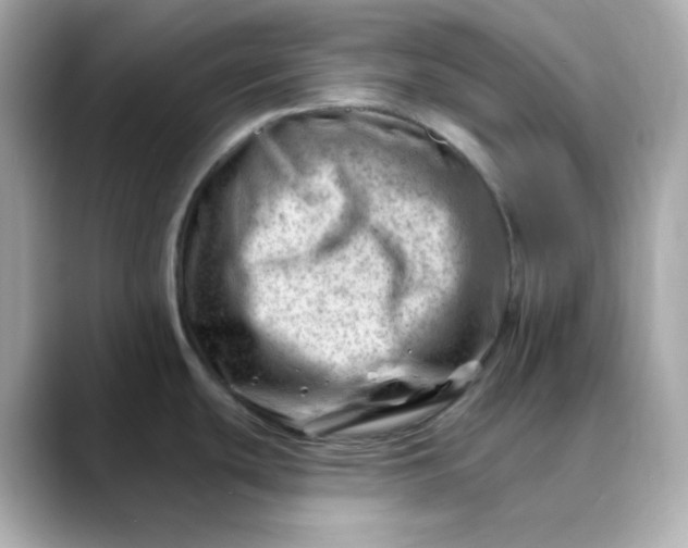 X0000088451439200706051258
