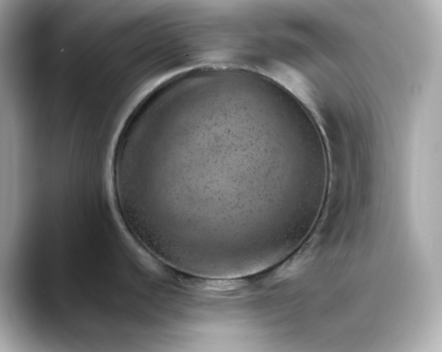 X0000088451440200706051258