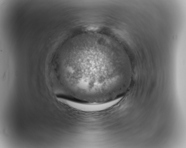 X0000088451441200706051257