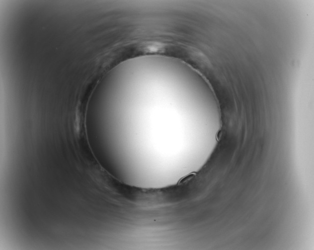 X0000088451442200706051257