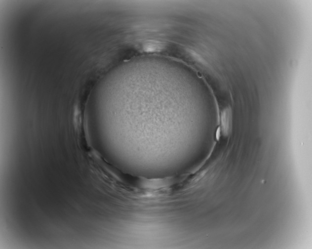 X0000088451443200706051257