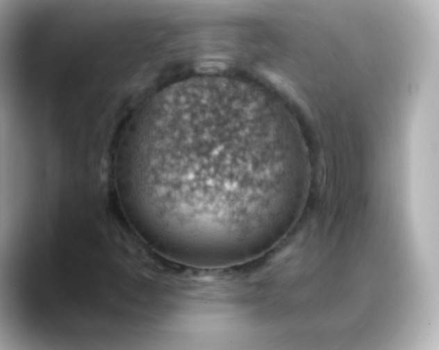 X0000088451445200706051257