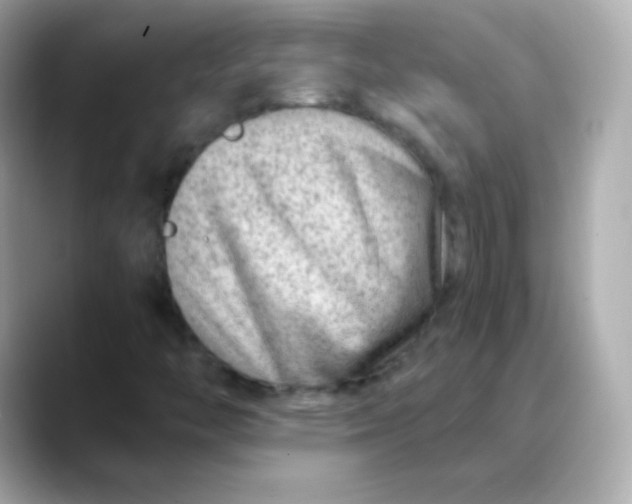 X0000088451446200706051257