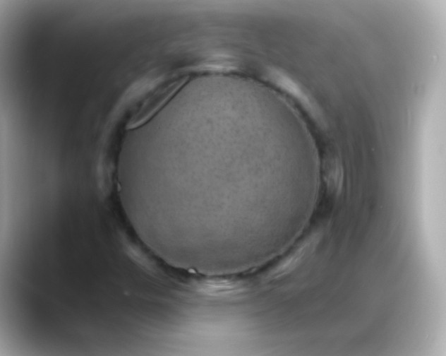 X0000088451448200706051257