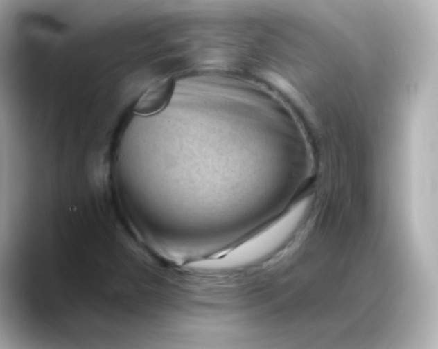X0000088451450200706051257