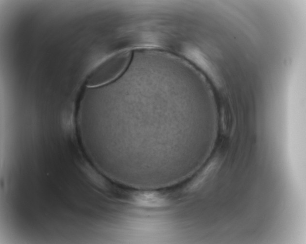 X0000088451452200706051257