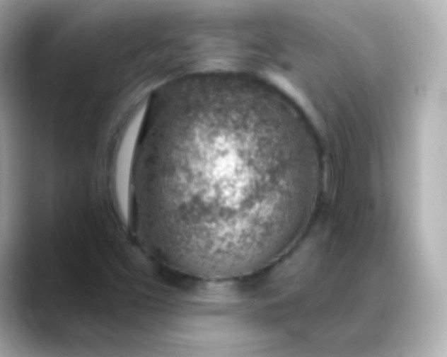 X0000088451453200706051257