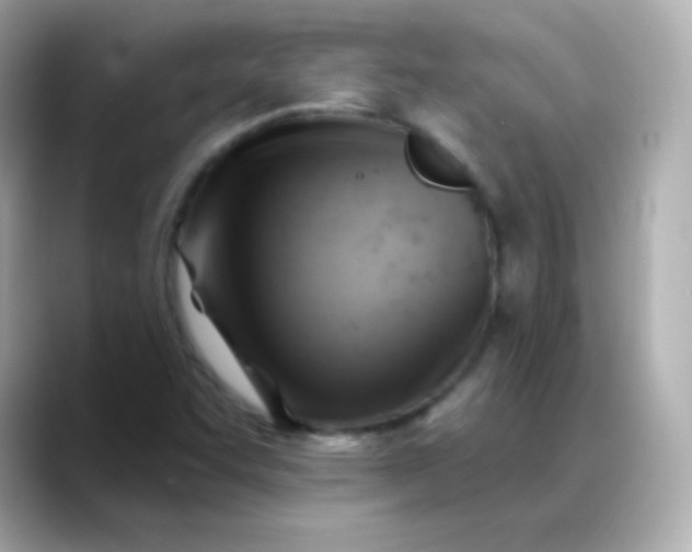 X0000088451455200706051257
