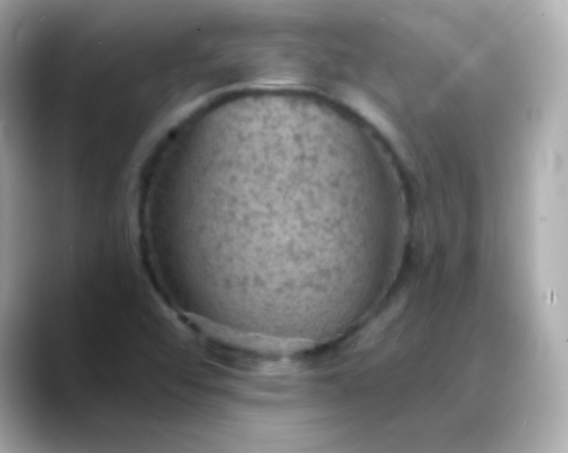 X0000088451456200706051257