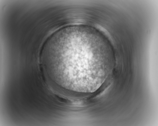 X0000088451457200706051257
