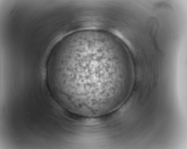 X0000088451459200706051257