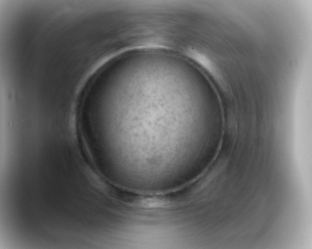 X0000088451460200706051257