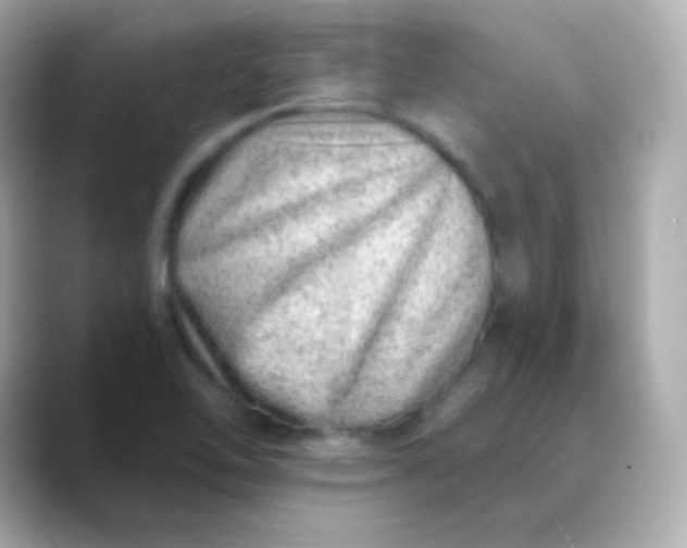X0000088451462200706051257