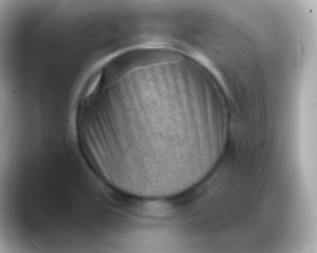 X0000088451464200706051257