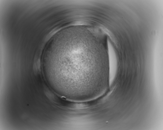 X0000088451465200706051257