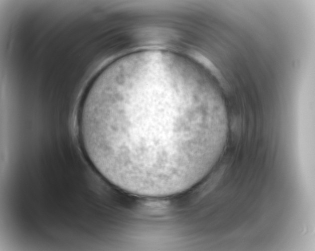 X0000088451466200706051257