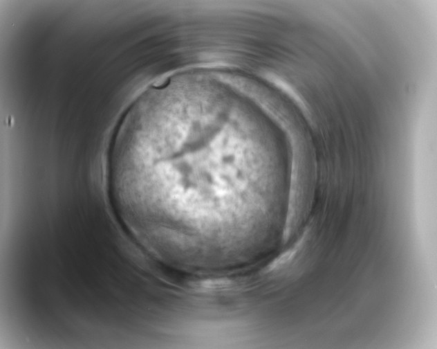 X0000088451467200706051257