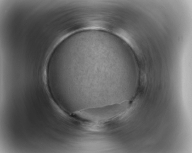 X0000088451468200706051257