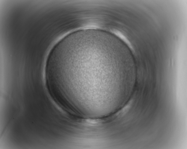 X0000088451469200706051257