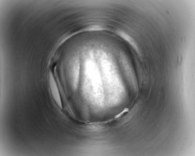 X0000088451473200706051257