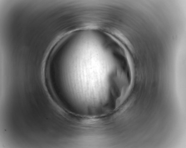 X0000088451475200706051257