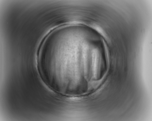 X0000088451476200706051257