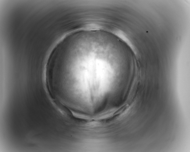 X0000088451477200706051257