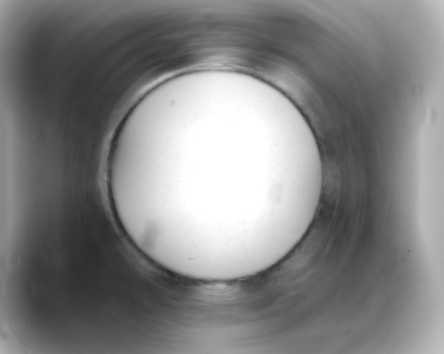 X0000088451478200706051257