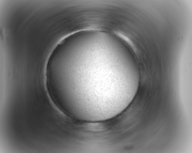 X0000088451479200706051257