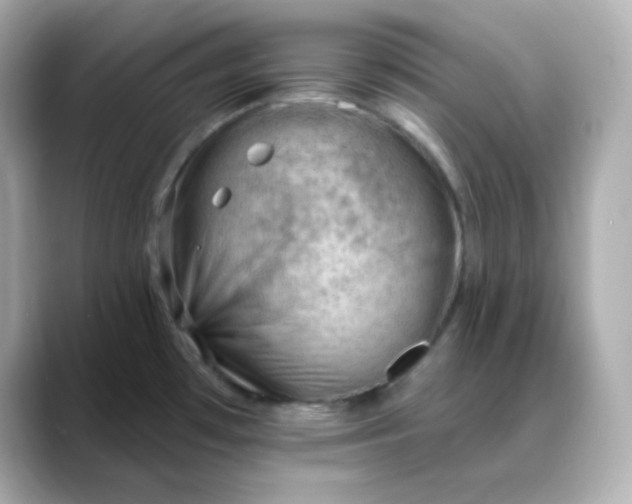X0000088451481200706051257
