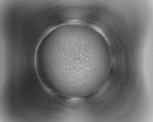 X0000088451482200706051257