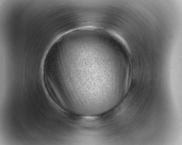 X0000088451483200706051257