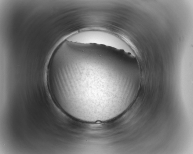 X0000088451484200706051257