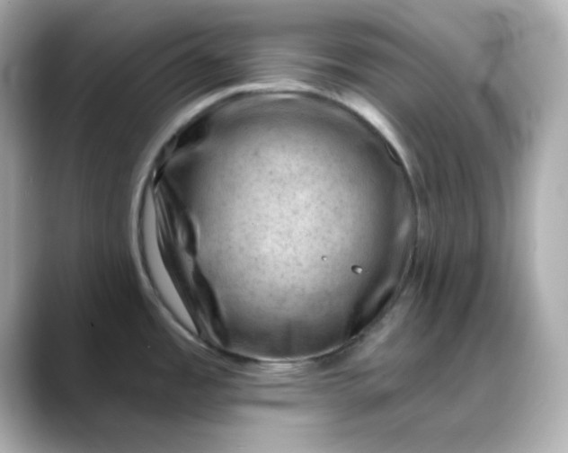 X0000088451485200706051257