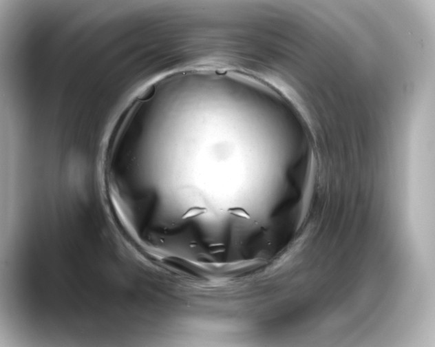 X0000088451486200706051257
