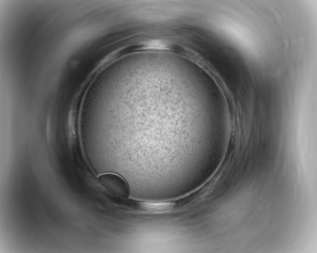 X0000088451487200706051257