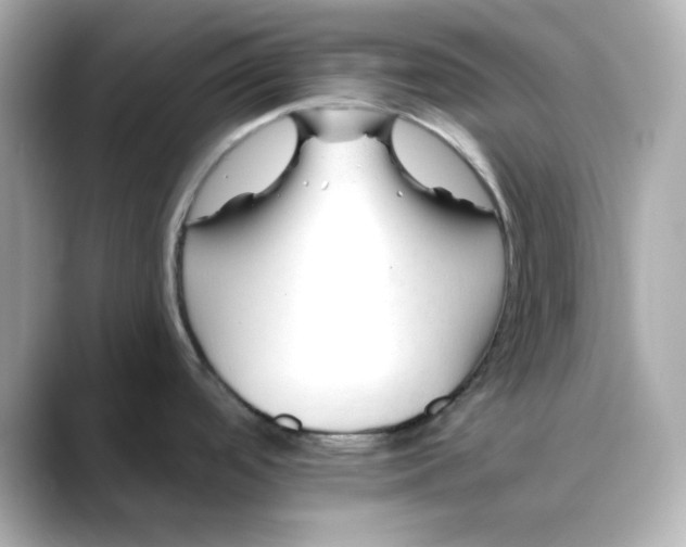 X0000088451488200706051257