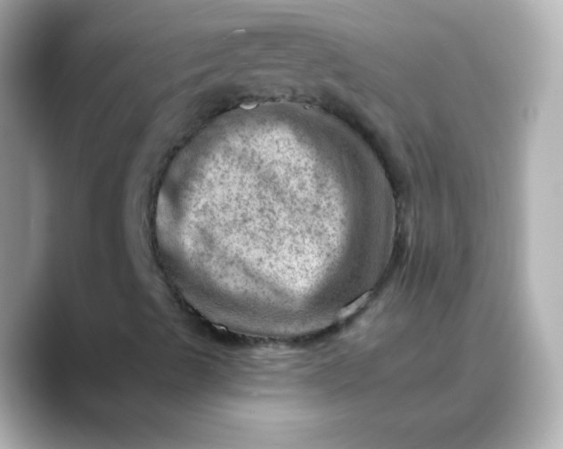 X0000088451489200706051256