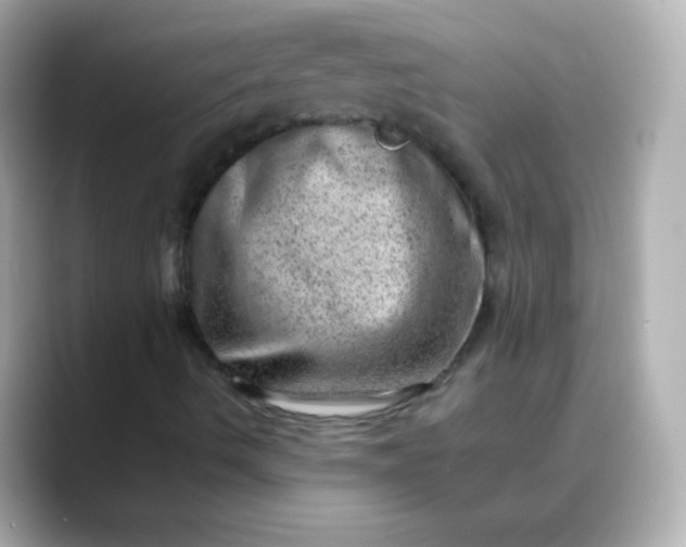 X0000088451490200706051256