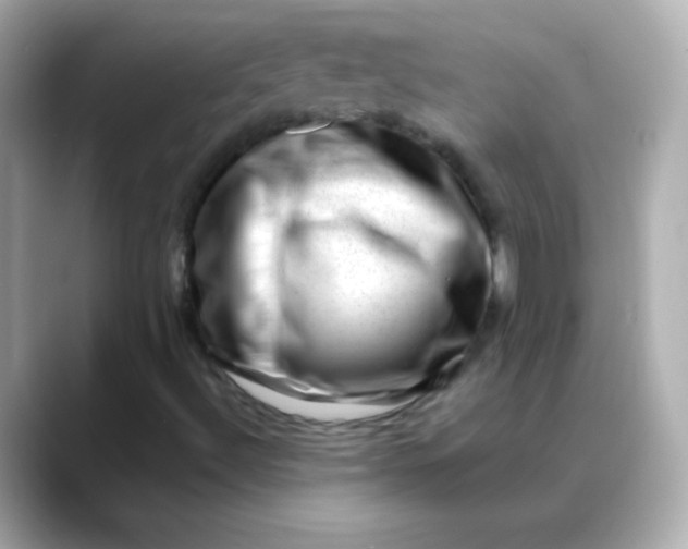 X0000088451492200706051256