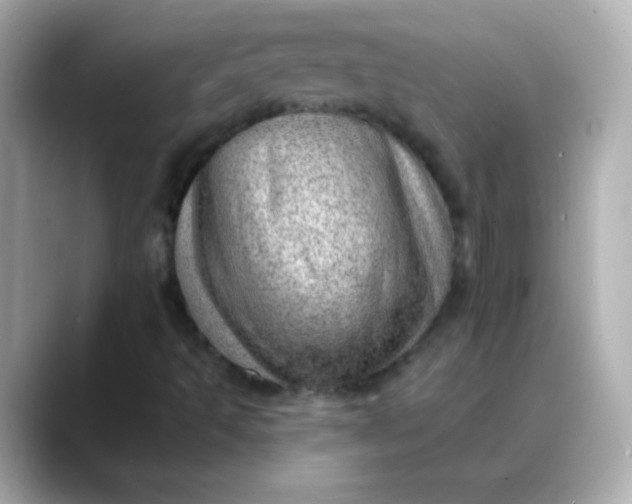 X0000088451493200706051256