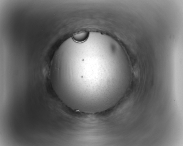 X0000088451495200706051256