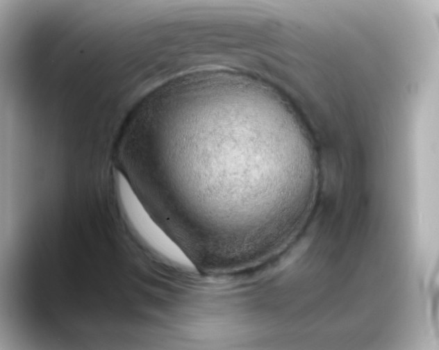 X0000088451497200706051256