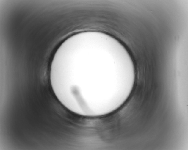 X0000088451498200706051256
