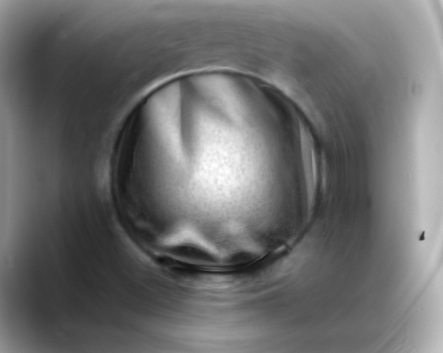 X0000088451500200706051257