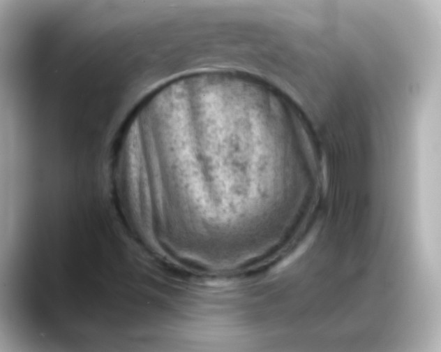 X0000088451501200706051257