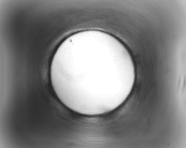 X0000088451502200706051257